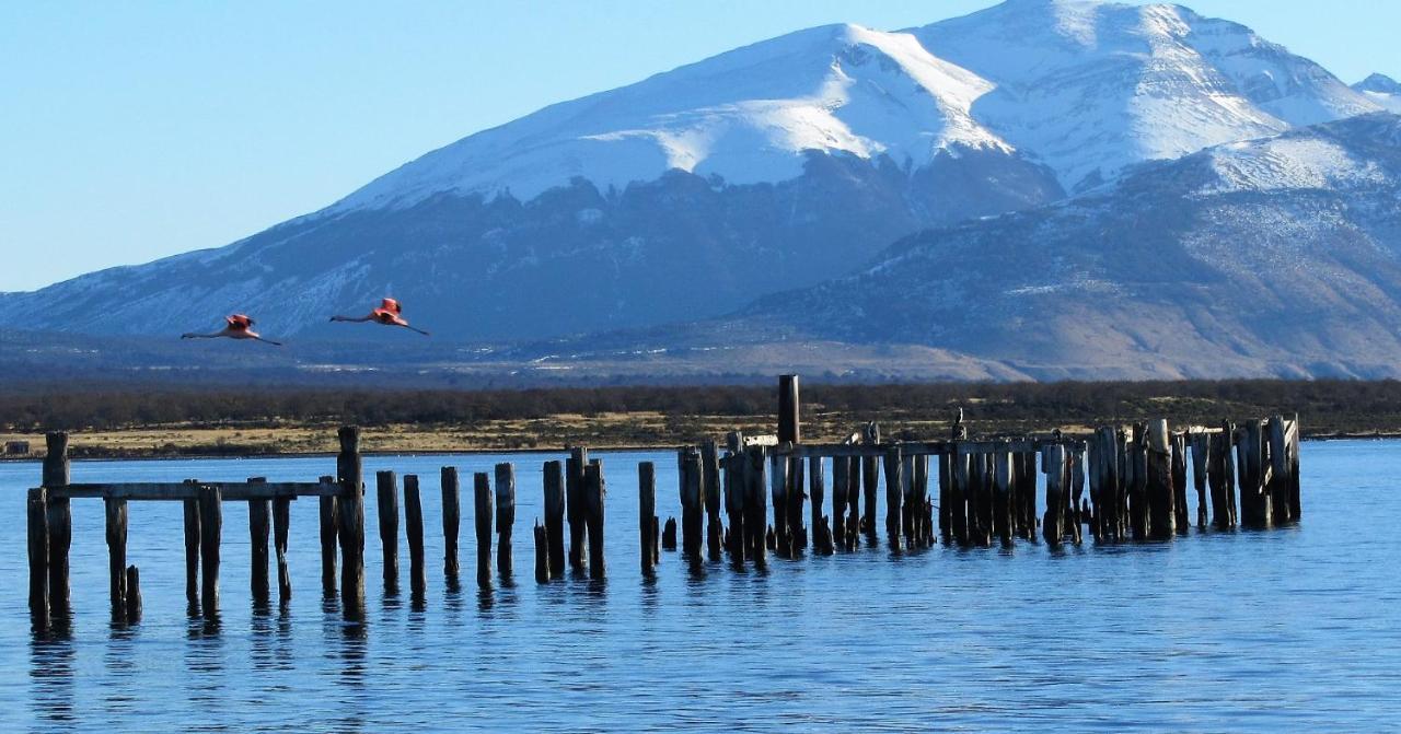 Hotel Patagonia Swiss House Puerto Natales Exterior foto